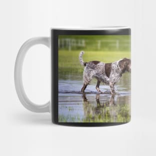 Wading through a pool Spinone Mug